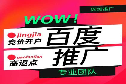 案例分析：SEM推广代运营效果